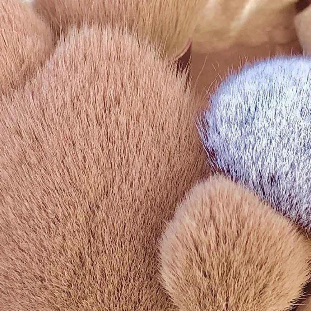 Elite Brushes